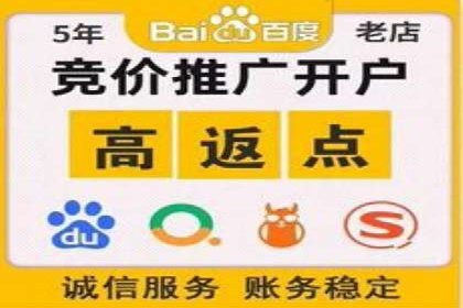 百度推广代理：从零到一的营销增长之路